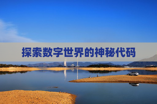 探索数字世界的神秘代码