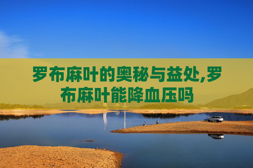 罗布麻叶的奥秘与益处,罗布麻叶能降血压吗