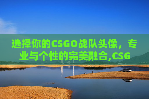选择你的CSGO战队头像，专业与个性的完美融合,CSGO战队图标