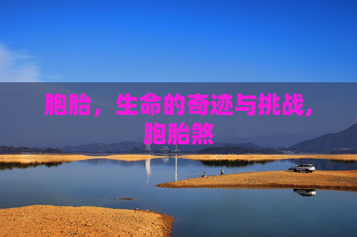 胞胎，生命的奇迹与挑战,胞胎煞