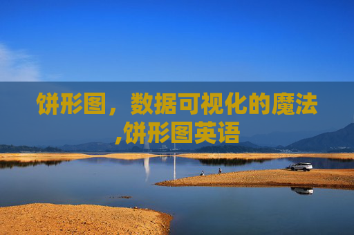 饼形图，数据可视化的魔法,饼形图英语