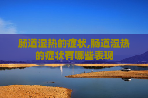 肠道湿热的症状,肠道湿热的症状有哪些表现