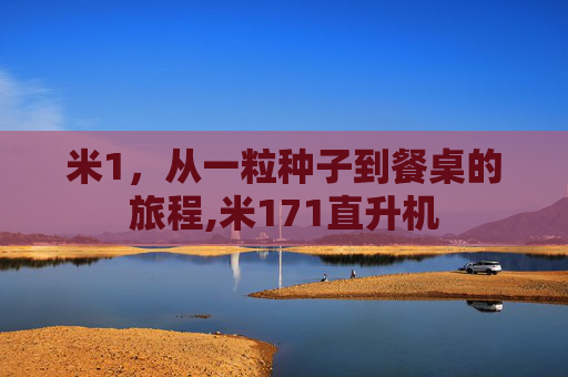 米1，从一粒种子到餐桌的旅程,米171直升机