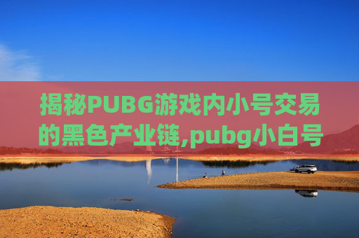 揭秘PUBG游戏内小号交易的黑色产业链,pubg小白号售卖