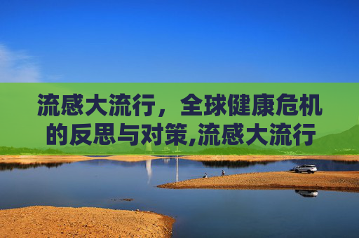 流感大流行，全球健康危机的反思与对策,流感大流行应急预案