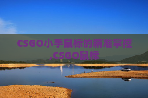 CSGO小手鼠标的精准掌控,CSGO鼠标
