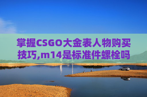 掌握CSGO大金表人物购买技巧,m14是标准件螺栓吗