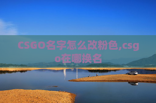 CSGO名字怎么改粉色,csgo在哪换名