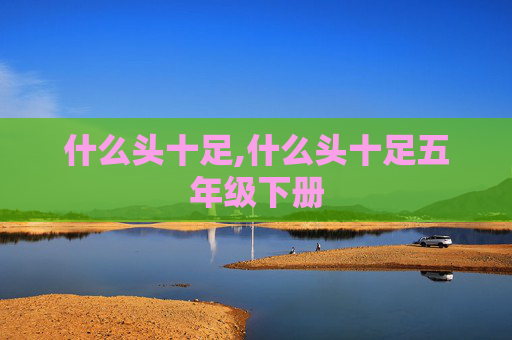什么头十足,什么头十足五年级下册