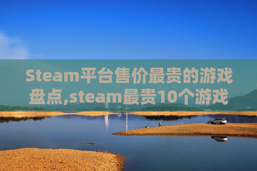 Steam平台售价最贵的游戏盘点,steam最贵10个游戏