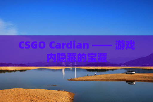 CSGO Cardian —— 游戏内隐藏的宝藏