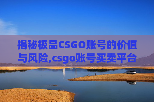 揭秘极品CSGO账号的价值与风险,csgo账号买卖平台