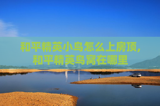 和平精英小鸟怎么上房顶,和平精英鸟窝在哪里
