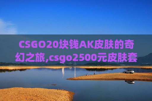 CSGO20块钱AK皮肤的奇幻之旅,csgo2500元皮肤套装推荐