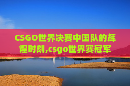 CSGO世界决赛中国队的辉煌时刻,csgo世界赛冠军