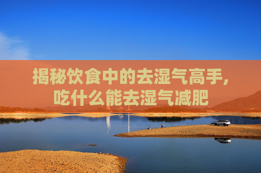 揭秘饮食中的去湿气高手,吃什么能去湿气减肥