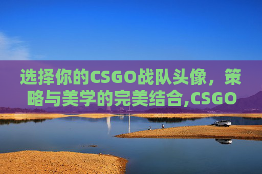 选择你的CSGO战队头像，策略与美学的完美结合,CSGO战队图标