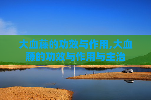 大血藤的功效与作用,大血藤的功效与作用与主治