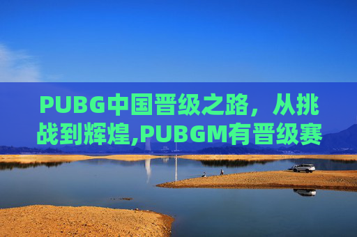 PUBG中国晋级之路，从挑战到辉煌,PUBGM有晋级赛吗