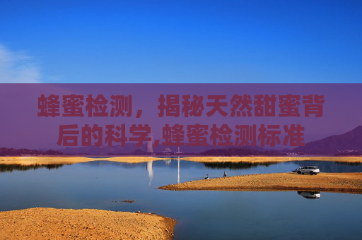 蜂蜜检测，揭秘天然甜蜜背后的科学,蜂蜜检测标准