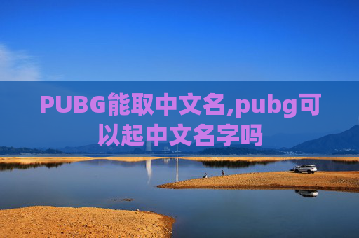 PUBG能取中文名,pubg可以起中文名字吗