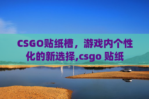 CSGO贴纸槽，游戏内个性化的新选择,csgo 贴纸