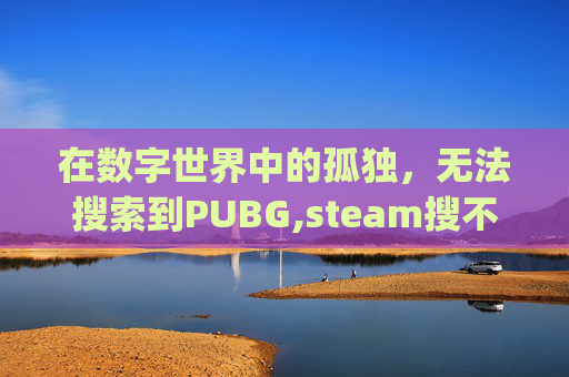 在数字世界中的孤独，无法搜索到PUBG,steam搜不到pubg