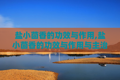 盐小茴香的功效与作用,盐小茴香的功效与作用与主治
