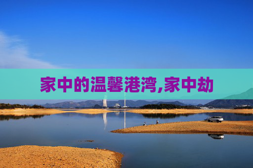 家中的温馨港湾,家中劫
