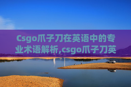 Csgo爪子刀在英语中的专业术语解析,csgo爪子刀英文