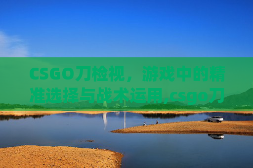 CSGO刀检视，游戏中的精准选择与战术运用,csgo刀检视动作按什么