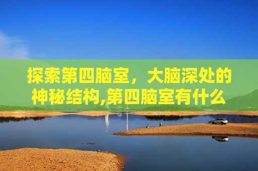 探索第四脑室，大脑深处的神秘结构,第四脑室有什么功能