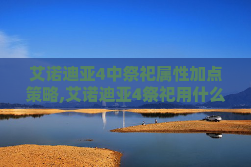 艾诺迪亚4中祭祀属性加点策略,艾诺迪亚4祭祀用什么武器