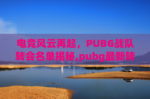 电竞风云再起，PUBG战队转会名单揭秘,pubg最新转会2025春