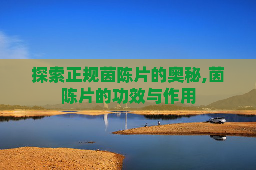 探索正规茵陈片的奥秘,茵陈片的功效与作用