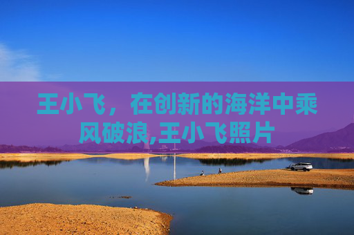 王小飞，在创新的海洋中乘风破浪,王小飞照片