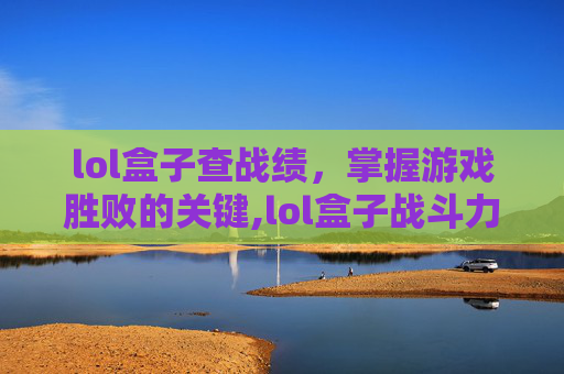 lol盒子查战绩，掌握游戏胜败的关键,lol盒子战斗力查询在线查询