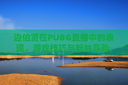 边伯贤在PUBG直播中的表现，游戏技巧与粉丝互动,边伯贤直播回放