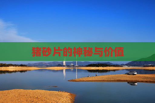 猪砂片的神秘与价值