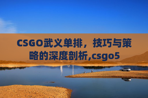CSGO武义单排，技巧与策略的深度剖析,csgo5