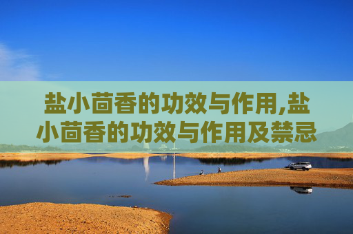 盐小茴香的功效与作用,盐小茴香的功效与作用及禁忌