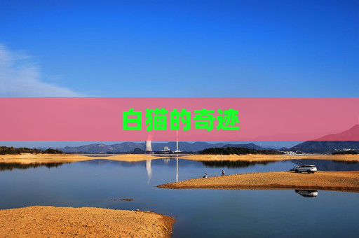 白猫的奇迹