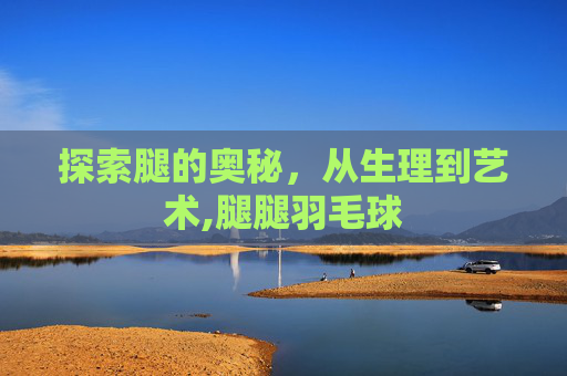 探索腿的奥秘，从生理到艺术,腿腿羽毛球