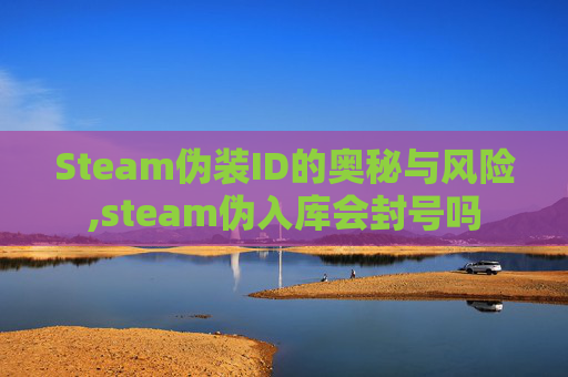 Steam伪装ID的奥秘与风险,steam伪入库会封号吗