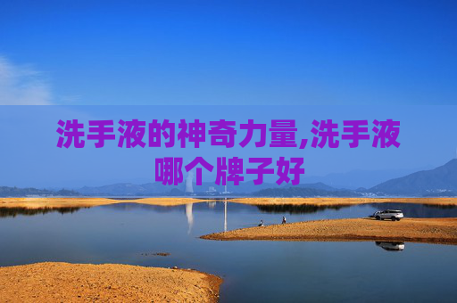 洗手液的神奇力量,洗手液哪个牌子好