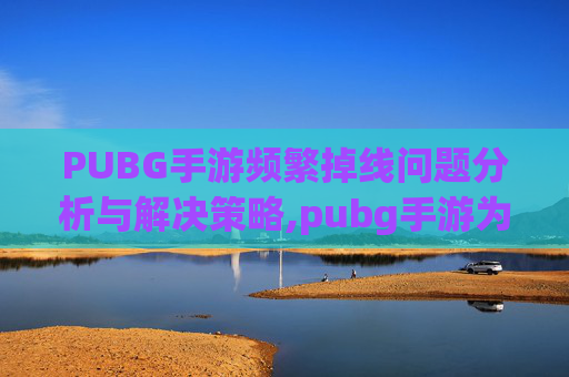 PUBG手游频繁掉线问题分析与解决策略,pubg手游为什么老是闪退