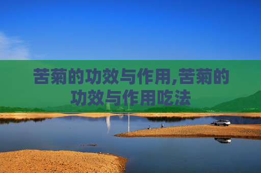 苦菊的功效与作用,苦菊的功效与作用吃法