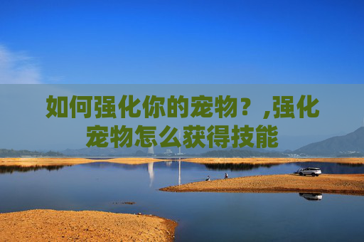 如何强化你的宠物？,强化宠物怎么获得技能