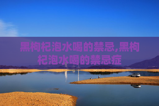 黑枸杞泡水喝的禁忌,黑枸杞泡水喝的禁忌症