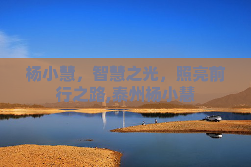 杨小慧，智慧之光，照亮前行之路,泰州杨小慧